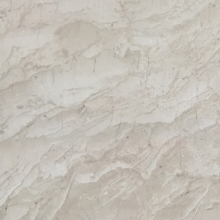 �������S