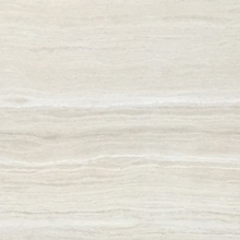 �����ľ�y