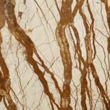 ����˹��