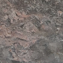 ����õ��