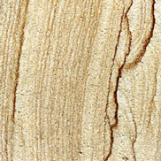 �Ĵ�ľ�yɰ�r